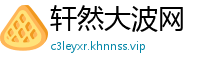 轩然大波网